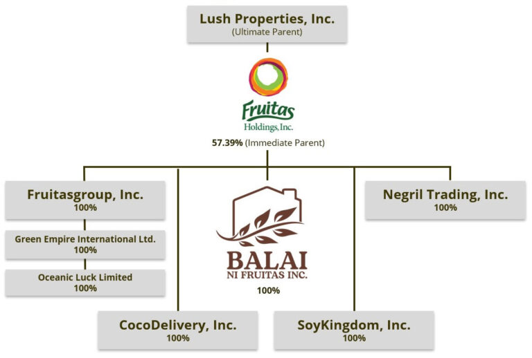 Corporate Structure Balai ni Fruitas